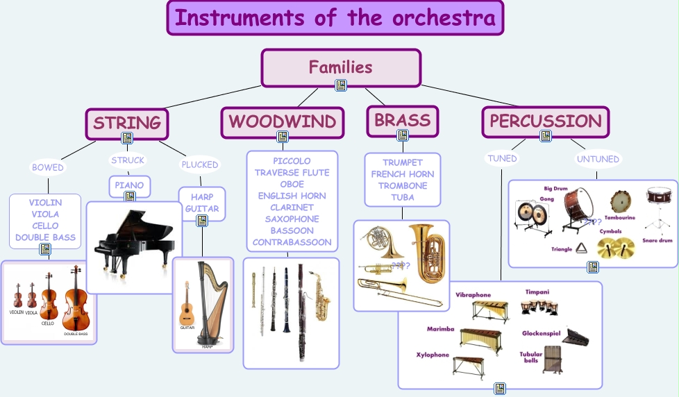 Instruments of the orchestra